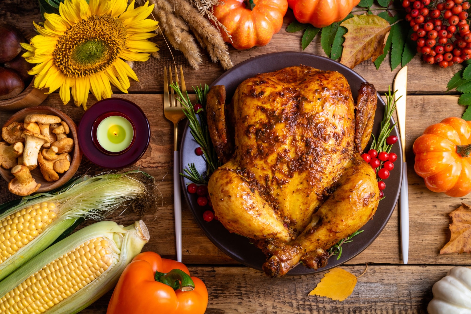 Baked chicken for Thanksgiving Day. Roasted whole chicken or turkey with autumnal vegetables