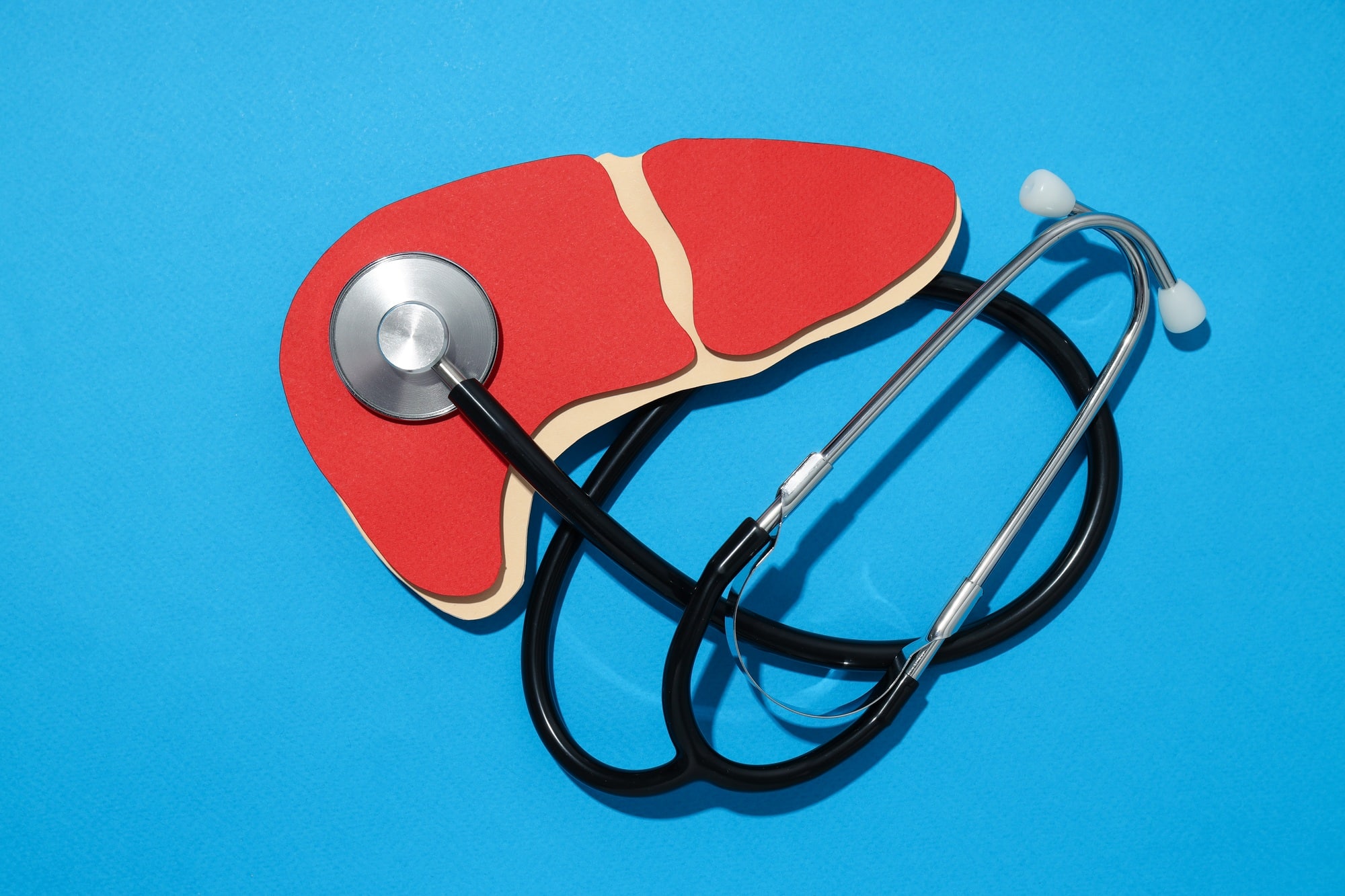 Paper liver and stethoscope on blue background, top view