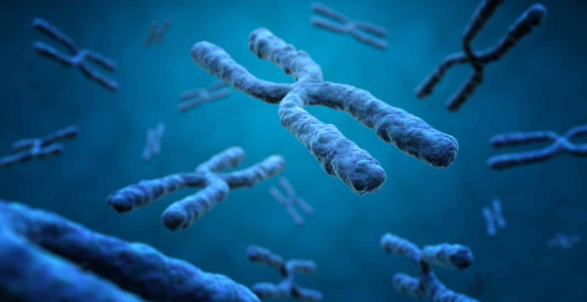 3d illustration of X chromosomes